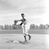 Artie Wilson, Seattle Rainiers Spring Training, 1952
